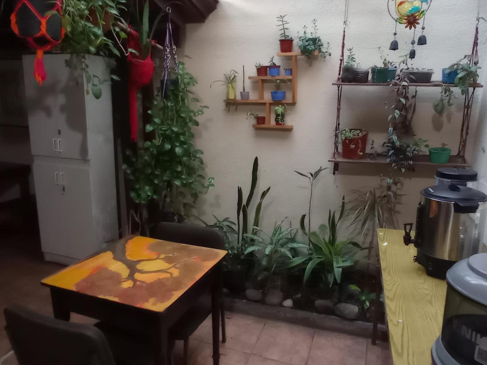 Hostel Casa Ridgway San José Exteriér fotografie