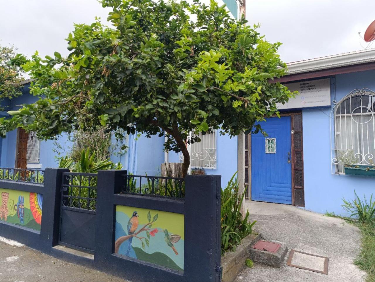 Hostel Casa Ridgway San José Exteriér fotografie